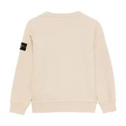 Beige Sweaters voor Mannen