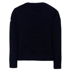Blauwe Crew Neck Sweater met Gestreept Detail
