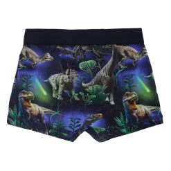 Blauwe Dinosaurus Boxershorts Set
