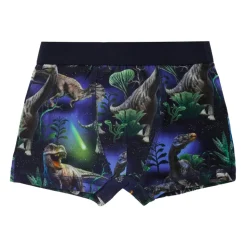 Blauwe Dinosaurus Boxershorts Set