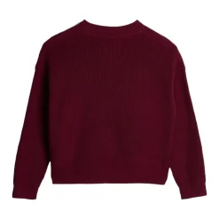 Bordeaux Minimalist Ronde Hals Sweater