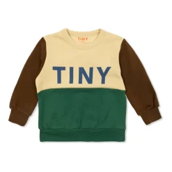 Color Block Sweatshirt