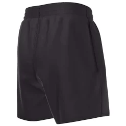 Ess 4'' Volley Short