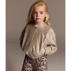 Gebreide Zilveren Bomber