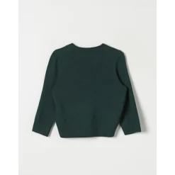 Groene Kindertrui Stijlvol Comfortabel Uitje