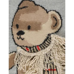 Kinderen Grijze Trui met Teddy Borduurwerk