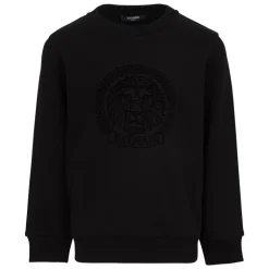 Logo Sweatshirt BX4R30Z3183