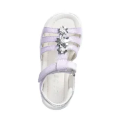 Metallic Style Schoen