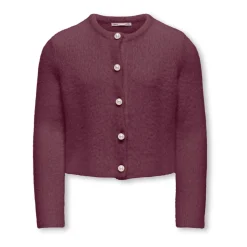 Parel O-Neck Gebreide kleding: Mauve Wine