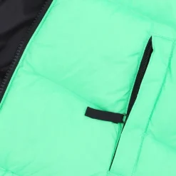Retro Nuptse Down Jacket