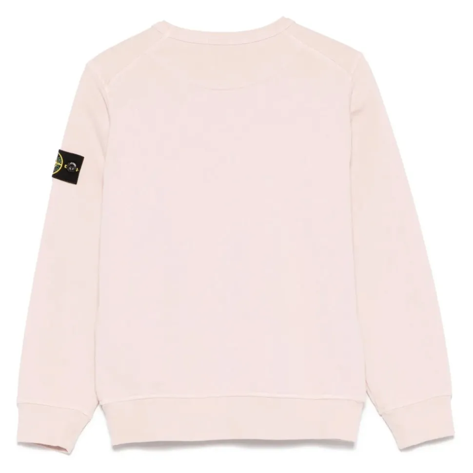 Roze & Paarse Sweatshirt