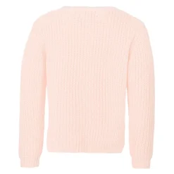 Roze Katoenen Trui met Ronde Hals